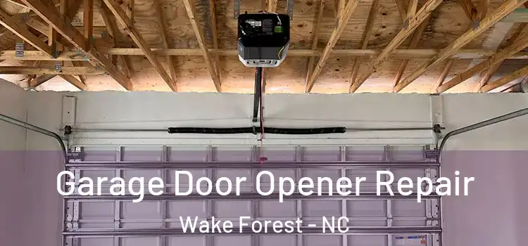  Garage Door Opener Repair Wake Forest - NC
