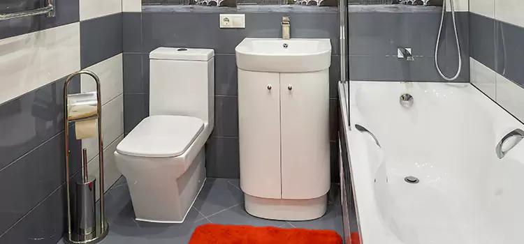 Hansgrohe Shaving Mirror Wake Forest