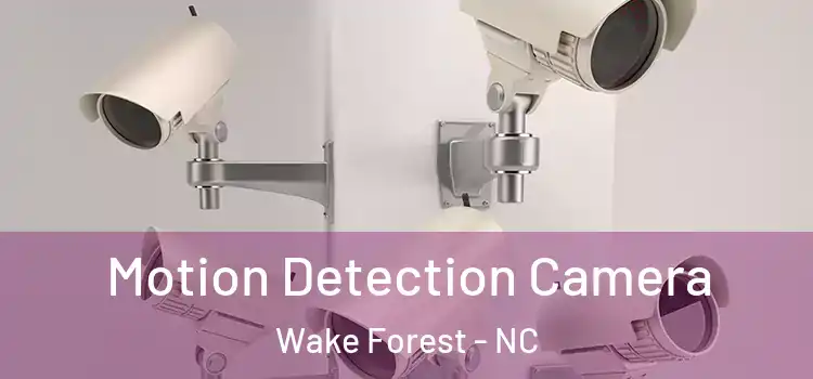  Motion Detection Camera Wake Forest - NC